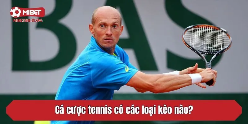 Cá cược tennis có các loại kèo nào?