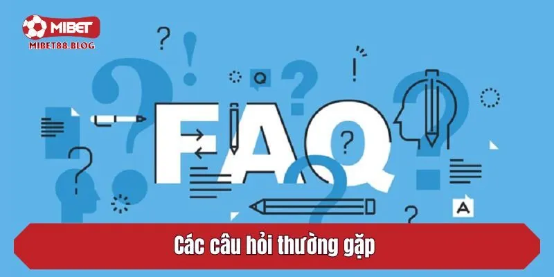 Các câu hỏi thường gặp 