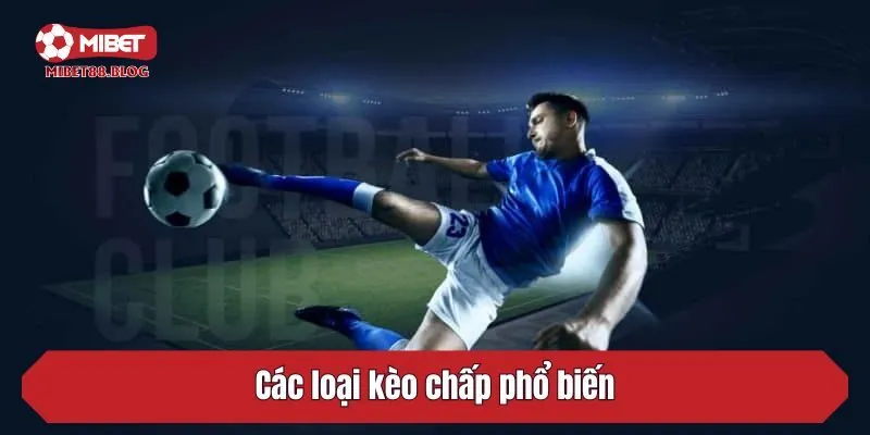 Các loại kèo chấp phổ biến
