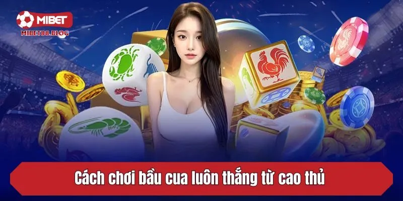 Cách chơi bầu cua luôn thắng từ cao thủ