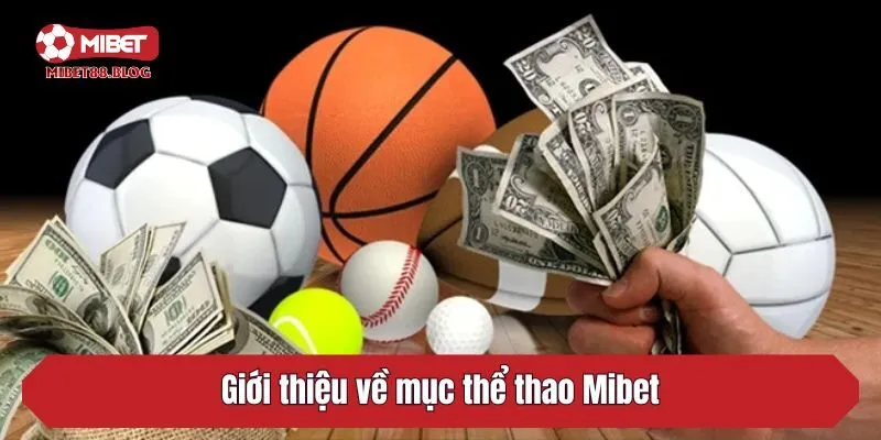 Giới thiệu về mục thể thao Mibet