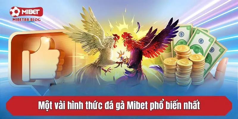 Một vài hình thức đá gà Mibet phổ biến nhất