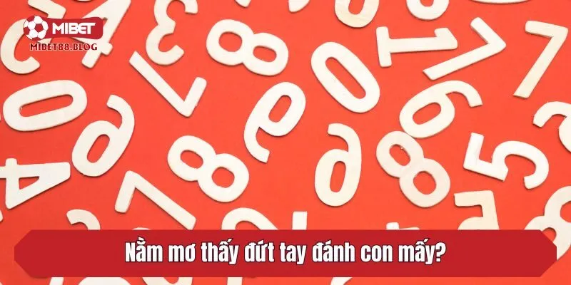Nằm mơ thấy đứt tay đánh con mấy?