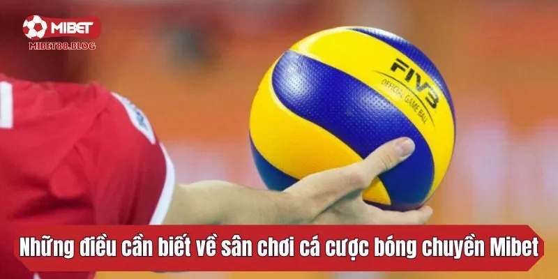 Những điều cần biết về sân chơi cá cược bóng chuyền Mibet