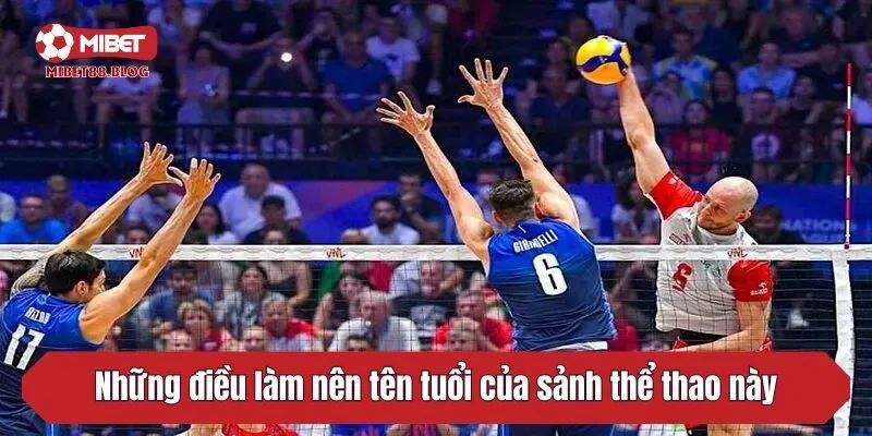 Những điều làm nên tên tuổi của sảnh thể thao này