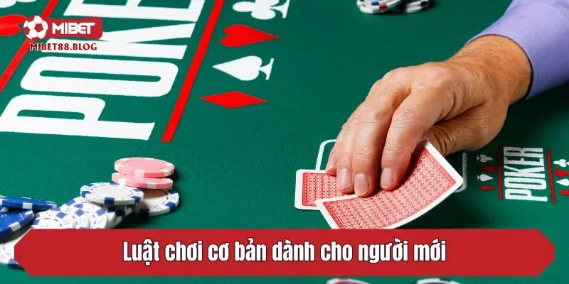 Luật chơi cơ bản dành cho người mới
